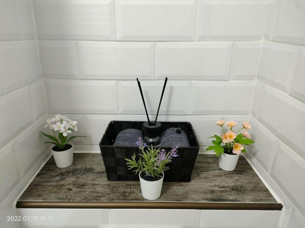 Apartamento Lavanda